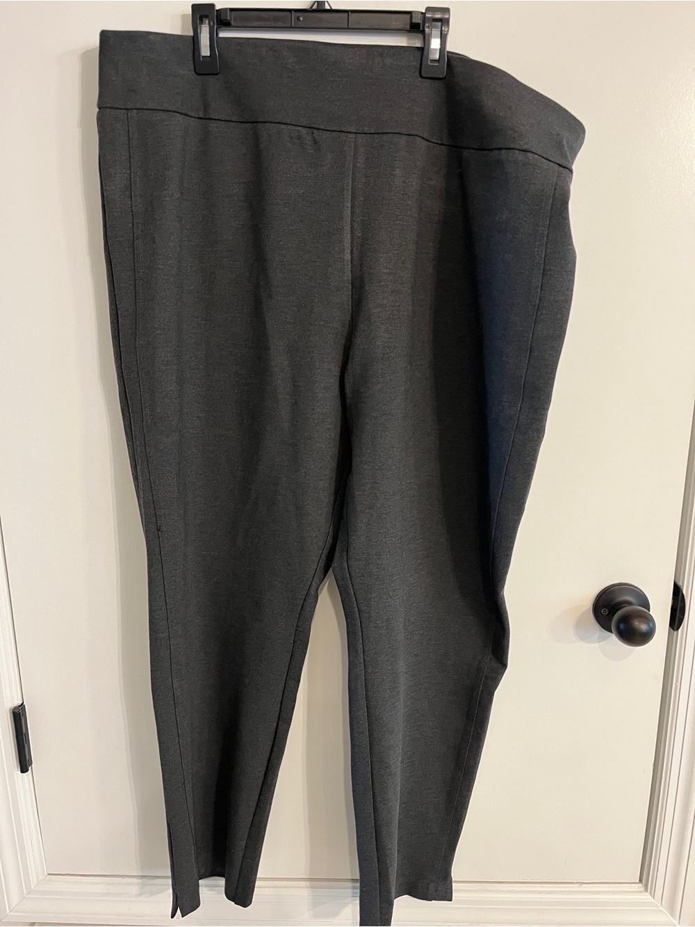 NWT Women’s Size XXL Express Sponte Ankle Pants inseam is 26”